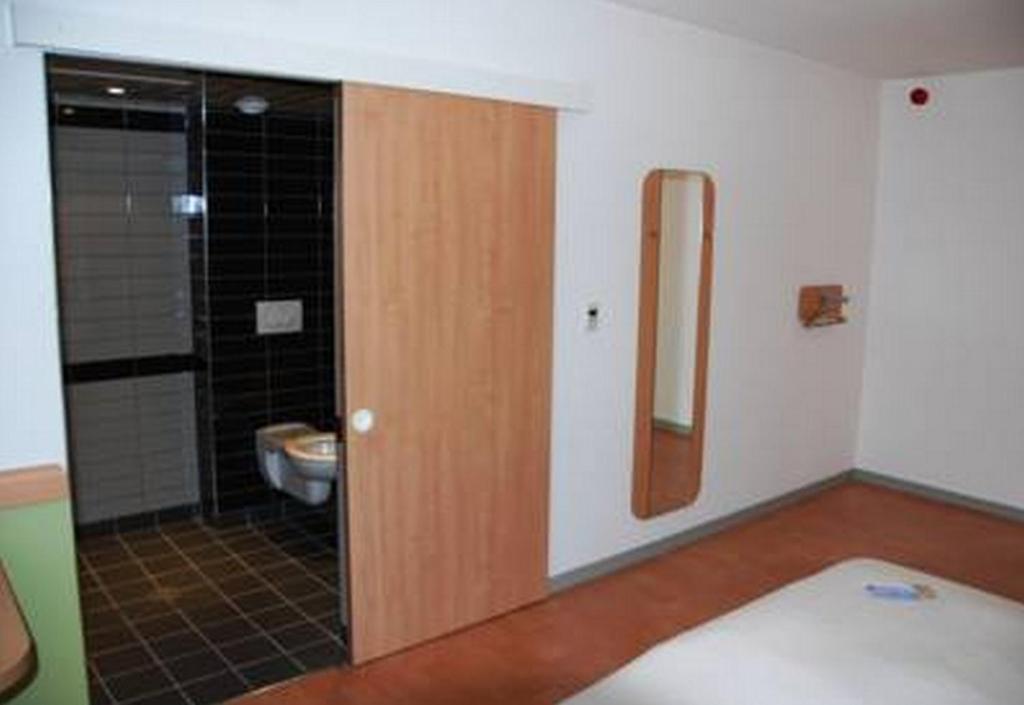 Ibis Budget Roanne Hotel 部屋 写真
